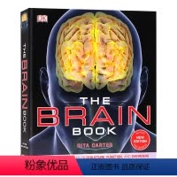 [正版]The Brain Book 大脑之书 图解大脑结构 生命科学指南 英文原版 探索脑部系统 精装 3D图解真实