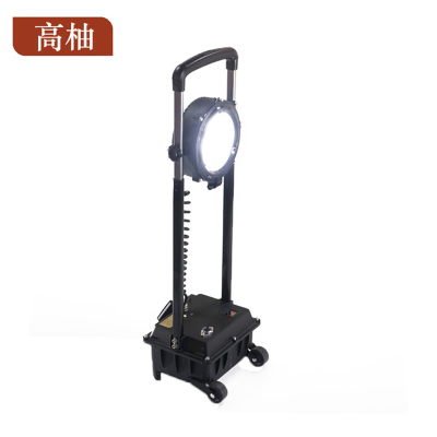 高柚GYGW-1146 300W 光源LED IP42 220V 5700K 1.00 台/套 黑 工作灯(移动灯)(计价单位:套)灰黑色