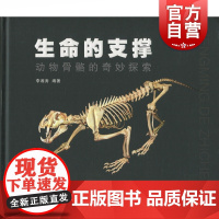 生命的支撑 动物骨骼的奇妙探索 李湘涛 动物骨骼自然科学类科普读物 再现脊椎动物演化历程 上海科学技术出版社