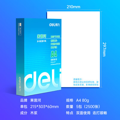 得力(deli)莱茵河 A4打印纸80g500张*5包一箱 口碑优选复印纸 双面加厚草稿纸 整箱2500张 7419