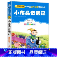 彩图注音版 小布头奇遇记 [正版]小布头奇遇记注音版一年级二年级孙幼军著新小学生必读课外书籍儿童读物少儿阅读文学绘本故事