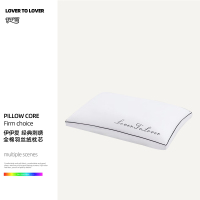伊伊爱 经典刺绣全棉防螨羽丝绒枕芯