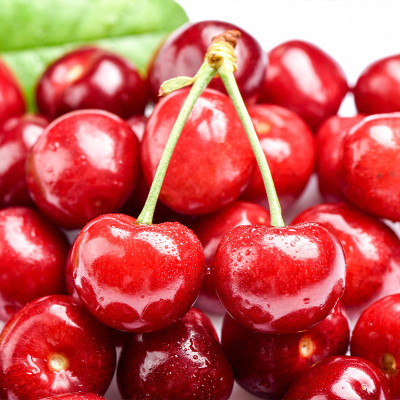 顺丰快递[西沛生鲜]美早大樱桃 JJ级 净重1.8斤