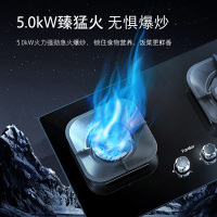 法迪欧5.0kW一级能效燃气灶JZY-2B601