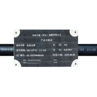 华科中缆 电缆 ZR-YJV22-2*120 米