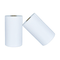 植巾(PLANTJIN)SNTDSD270 220mm*20m 热转印胶带(计价单位:卷)白色