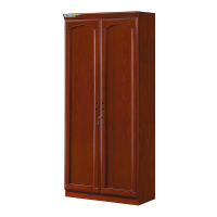 臻远ZY051401木质文件柜油漆贴木皮资料柜书柜 二门