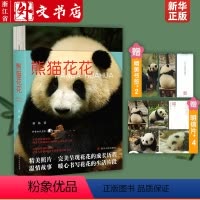 [正版]赠书签+明信片熊猫花花 蒋林书写熊猫花花的家族和花花成长历程附有丰富的熊猫知识科普大熊猫的生物学特点和生活习性