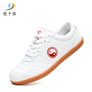 健卡侬太极鞋JX19/双