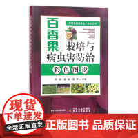 百香果栽培与病虫害防治彩色图说 热带果树 果树园艺 热带水果 29996