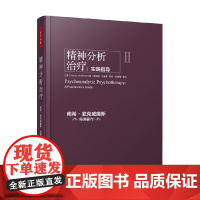 精神分析治疗实践指导 南希·麦克威廉斯 心理学专著 培养专业技能