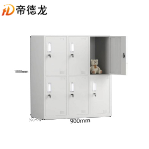 帝德龙小六门衣柜储物书包柜YG-G8 900*390*1000mm
