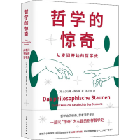 音像哲学的惊奇 从发问开始的哲学史(瑞士)让娜·海尔施