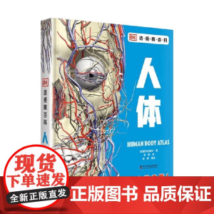 DK透视眼百科 人体 7-14岁 英国DK出版社 著 科普百科