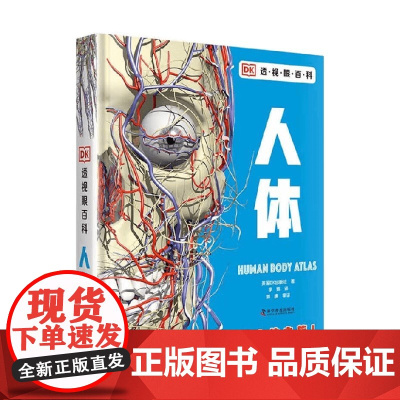 DK透视眼百科 人体 7-14岁 英国DK出版社 著 科普百科