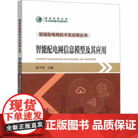 书籍正版 智能配电网信息模型及其应用 张子仲 中国电力出版社有限责任公司 工业技术 9787519890247