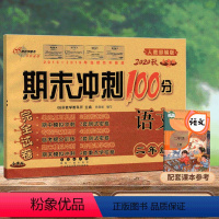 [正版]2020新版期末冲刺100分二年级上册语文试卷人教版小学2二年级上册语文书试卷同步训练习册单元期中期末测试卷全