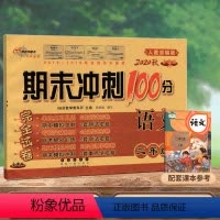 [正版]2020新版期末冲刺100分二年级上册语文试卷人教版小学2二年级上册语文书试卷同步训练习册单元期中期末测试卷全
