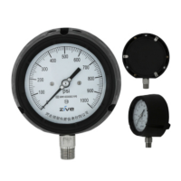 ZIVE 安全压力表ZIVE-1306464