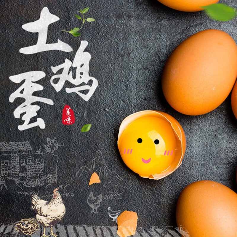 [熊猫鸟]新鲜土鸡蛋 10枚装 农家散养新鲜正宗草鸡蛋笨柴鸡蛋孕妇月子蛋整箱