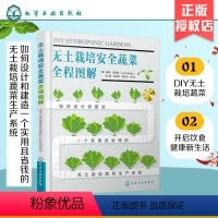 [正版]书籍 无土栽培安全蔬菜全程图解 无土栽培园艺农业种植技术蔬菜园艺无土栽培技术蔬菜种植技术家庭小菜园水培植物种植