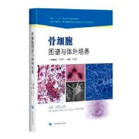 正版新书]骨细胞图谱与体外培养朱国英编9787547837597