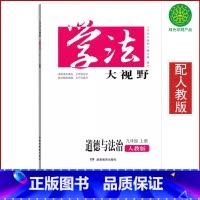 道德与法治 九年级上 [正版]全新道德与法治九年级上册学法大视野人教版初三9九年级上册道德同步练习测试湖南教育出版社九年