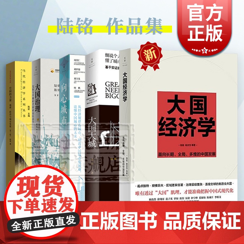 大国经济学/大国大城/向心城市/空间的力量:地理政治与城市发展第3版/大国大城 陆铭作品城市观念世纪文景中国城市的未来经