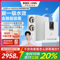 安吉尔家用净水器母婴直饮机纯水直饮式净水机5年长效RO反渗透厨下式过滤器玉龙Pro1000GSE+Y3611管线机