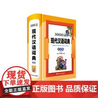 30000词现代汉语词典(大字本)