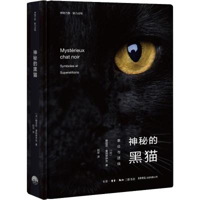 神秘的黑猫