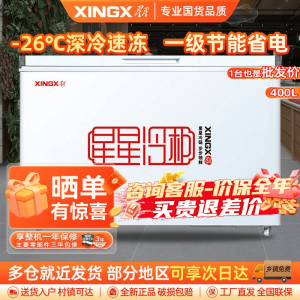 星星(XINGX) 400升 商用卧式冷柜 冷藏冷冻转换 冰柜 商用保鲜设备 微霜系统 节能省电 BD/BC-400R
