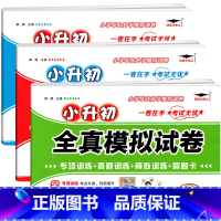 语文+数学+英语 小学升初中 [正版]2023新版升级版小升初语文数学英语全真模拟试卷小学毕业升学名校招生真卷精选六年级