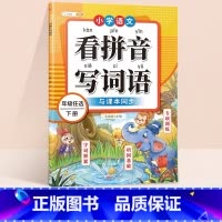 看拼音写词语 二年级下 [正版]二年级下册看拼音写词语语文人教版专项训练生字注音学写字课堂同步词组练习小学生默写能手组词