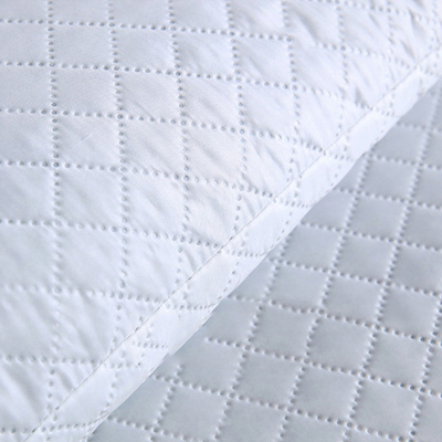 莱依瑾 LYEEGIN 枕头 荞麦枕 40*60cm 个