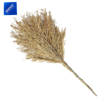 安居先森马路环卫大笤帚扫帚扫把 竹枝连体3.5斤款 原竹黄青色