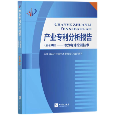 正版新书]产业专利分析报告(D85册)——动力电池检测技术国家