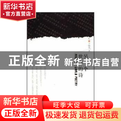 正版 另一个世界的诗 王晓春著 中国文联出版社 9787505971