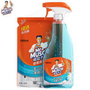 威猛先生多功能玻璃清洁剂500g+420g汽车玻璃水 窗户玻璃去污防尘 不留水痕