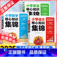 [3册]语文+数学+英语 小学通用 [正版]2025新版小学核心知识集锦语文数学英语基础知识大全小学生一二三四五六年级知