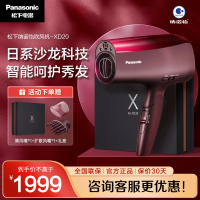 松下(Panasonic)电吹风机 黑科技纳诺怡双倍矿物质负离子护发大功率智能冷热多功能吹风筒 EH-XD20-R