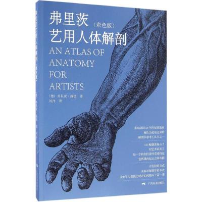 弗里茨艺用人体解剖(彩色版)