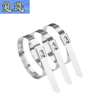 复岚 不锈钢扎带 4.6*200mm/包