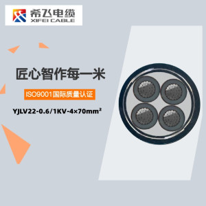希飞牌 YJLV22-0.6/1KV-4*70mm²铝芯铠装电缆 元/米 定制商品 联系客服 黑色 YJLV22-0.6/1KV-4*70mm²