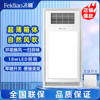飞雕(FEIDIAO)风暖浴霸卫生间暖风机多功能浴室取暖超薄琴键开关集吊普吊可用C11(浴霸需自行安装)