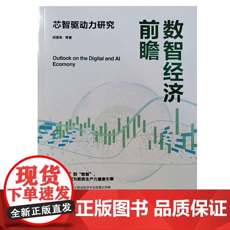 数智经济前瞻:芯智驱动力研究 胡国栋 等人民邮电出版社9787115671387正版书籍