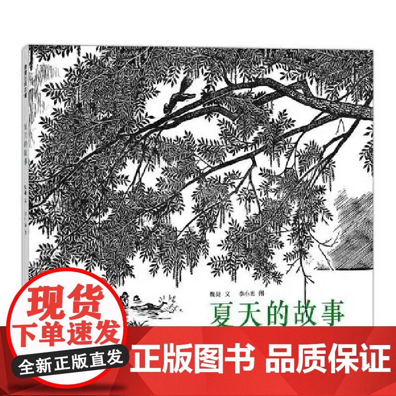 夏天的故事精装硬壳绘本适合0-6岁儿童绘本老师幼儿园小学生课外书籍阅读 父母与孩子的睡前亲子阅读启蒙书籍蒲蒲兰