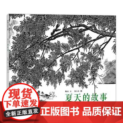 夏天的故事精装硬壳绘本适合0-6岁儿童绘本老师幼儿园小学生课外书籍阅读 父母与孩子的睡前亲子阅读启蒙书籍蒲蒲兰