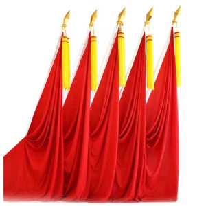 策宇科技CYKJ 会议室党旗背景带底座 CY-DQ089 套