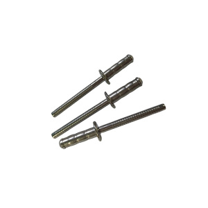 益莘 抽芯拉铆钉 5*25mm 个